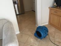 All Year Carpet Cleaning image 9